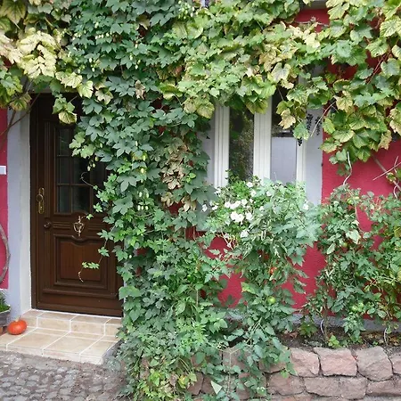 Winzeranwesen - Weingut Christian Eberley- Fewo II Mindestaufenthalt 4 Naechte - Minimum Stay 4 Nights Neustadt an der Weinstraße Esterno foto