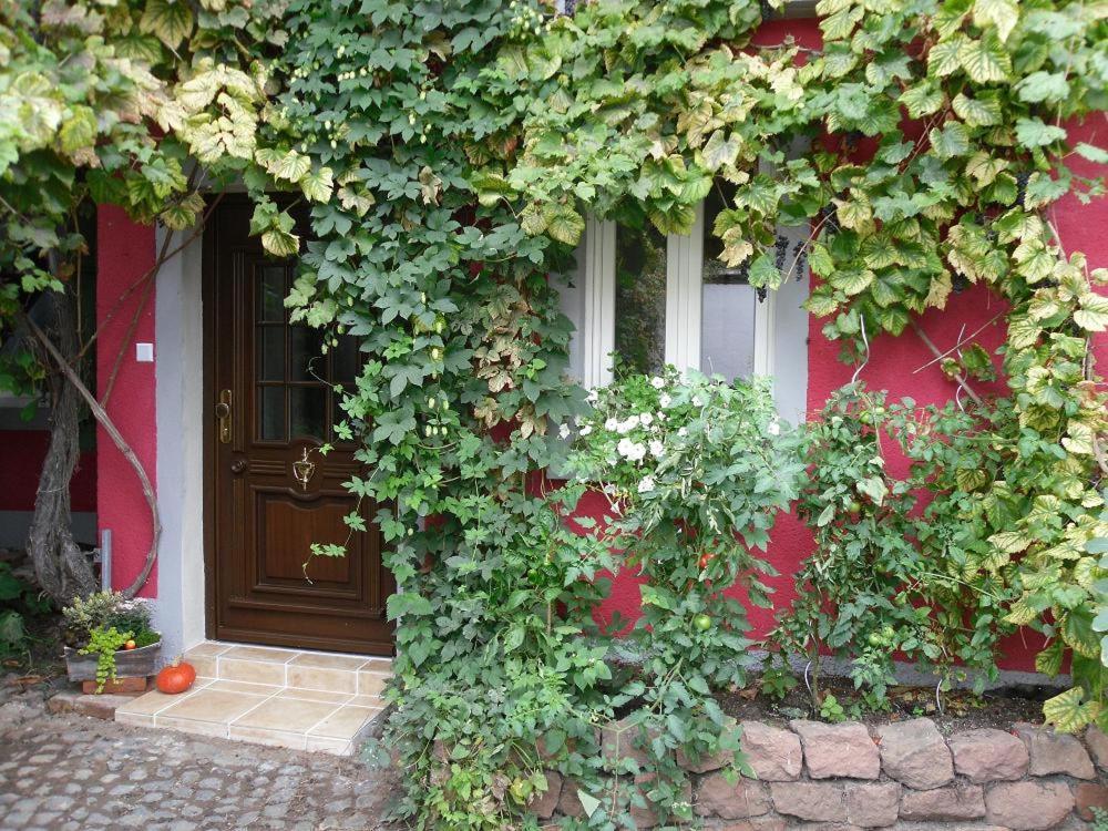 Apartment Winzeranwesen - Weingut Christian Eberley: Vineyard With Extended Nights *